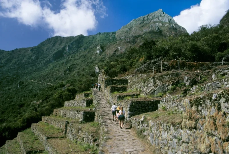 Inca Trail from Machu Picchu to Temple of the Sun