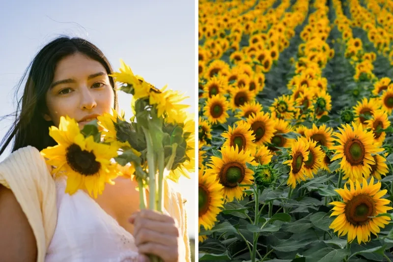 Woman holding sunflowers