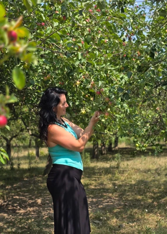 woman picking apples at Ferme Dagenais et Le Tournesol&nbsp; 
