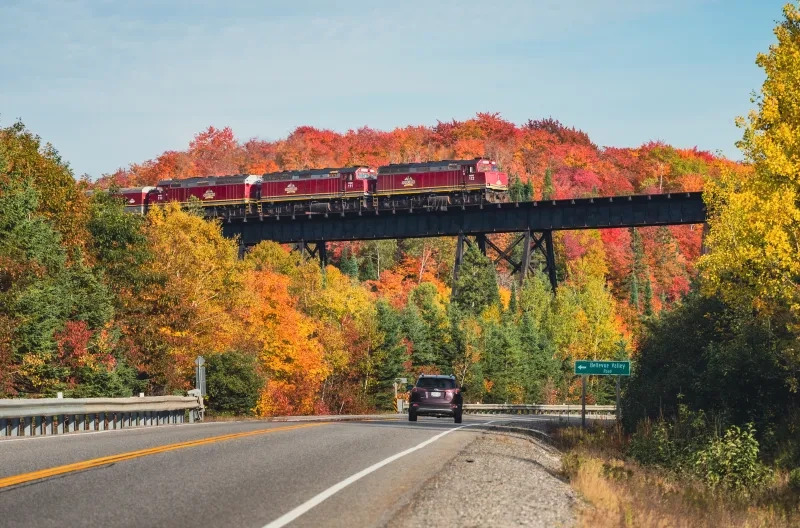 Agawa Canyon Tour Train