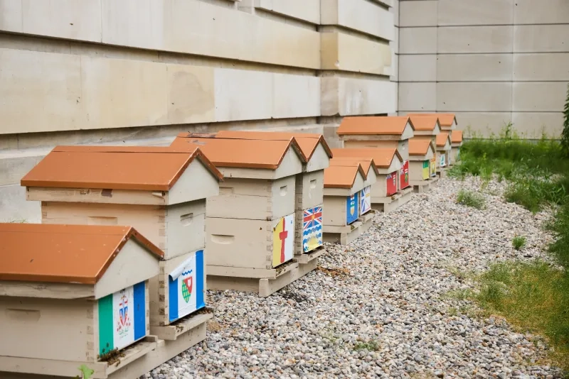 Bee houses
