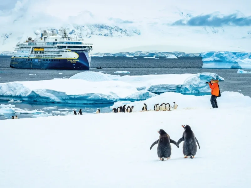 National Geographic-Lindblad Expeditions in Antarctica