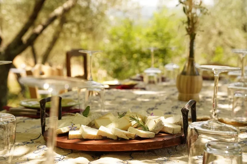 Sheeps' milk cheese board and organic wine tasting in Chianti region 