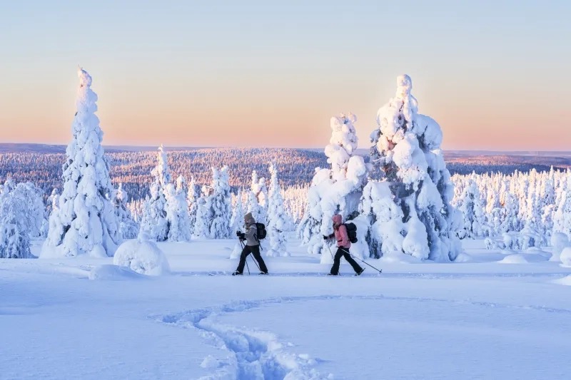 Women cross country skiing in the snowy forest
