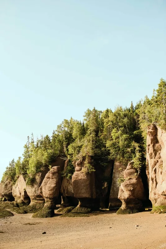 2018 My New Brunswick Josh Mario John Hopewell Rocks Provincial Park (7) (1)