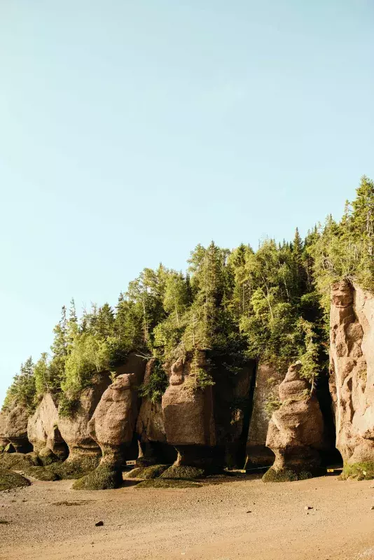 2018 My New Brunswick Josh Mario John Hopewell Rocks Provincial Park (7) (1)