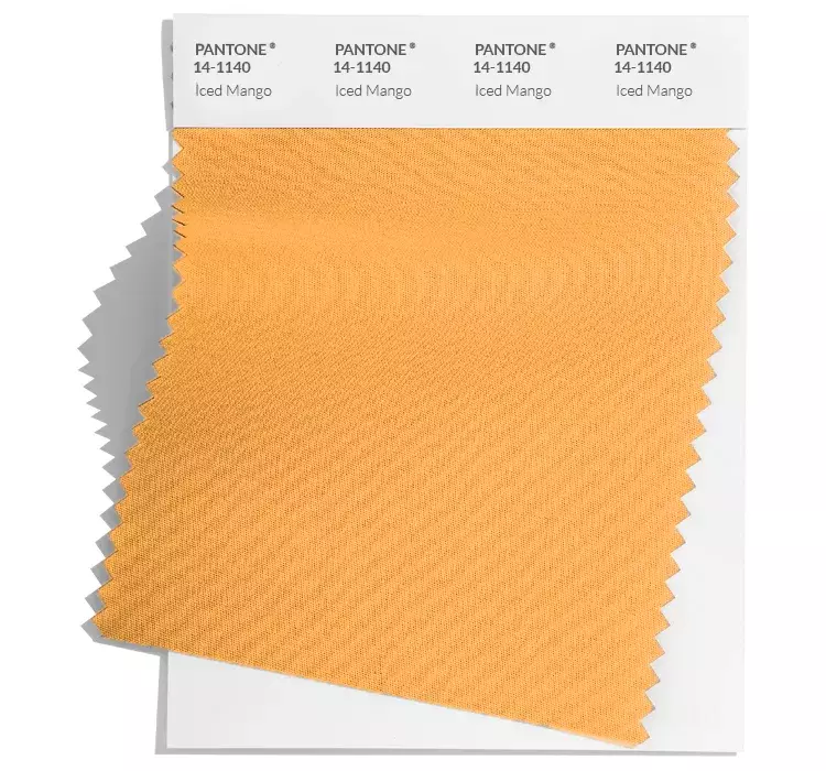 PANTONE Iced Mango