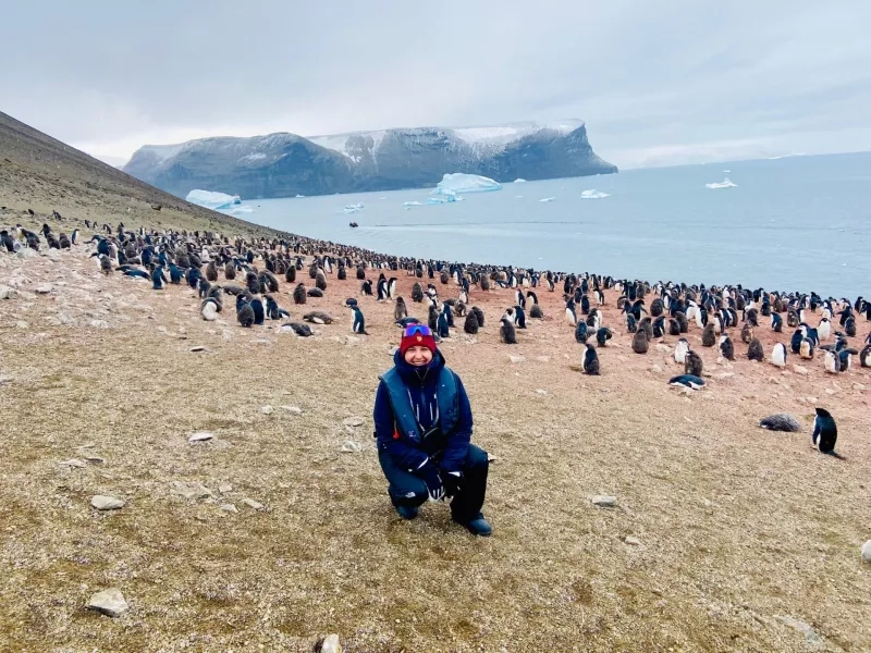 Penguins