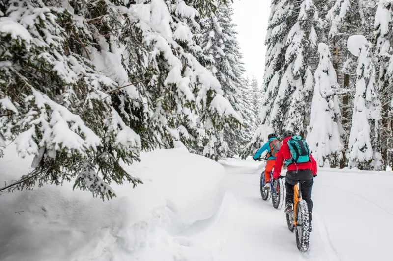 Couple riding their fat bikes on snowy forest trail