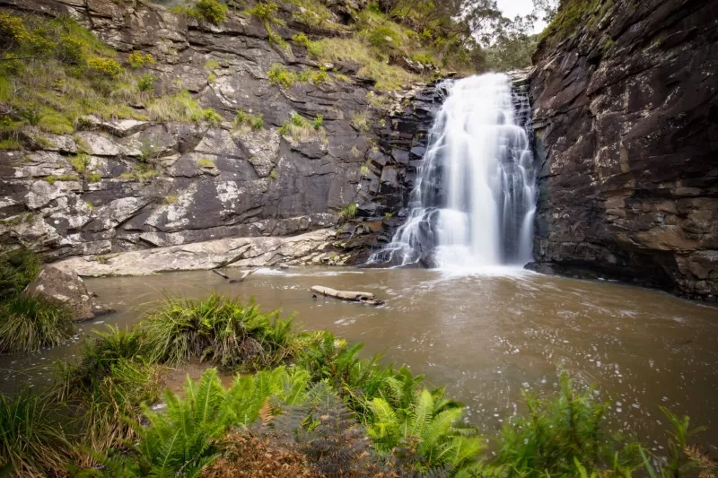 Sheoak Falls Cape Otway