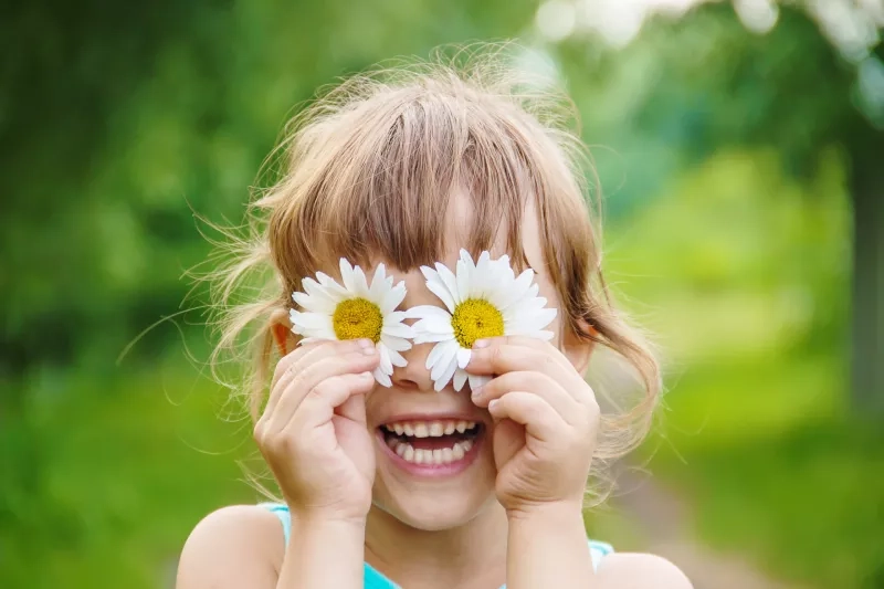 girl is holding chamomile flowers in her hands. Selective focus.