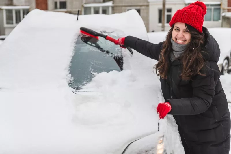 winter car