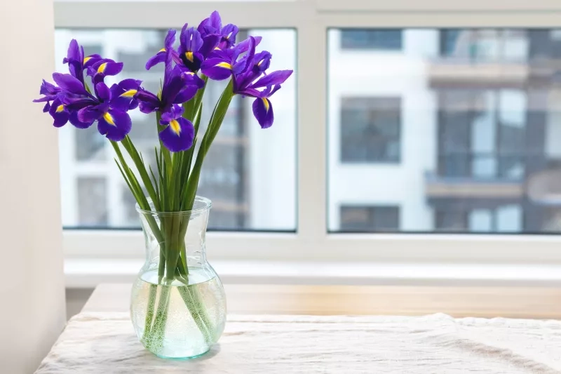 Bouquet of purple irises in a clear glass vase on a linen tablecloth on a wooden table by the window in a modern bright kitchen against a blurred background