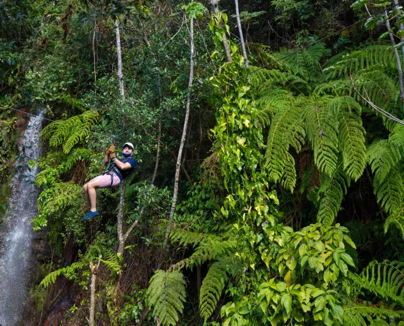 Zip line in Costa Rica against green foliage