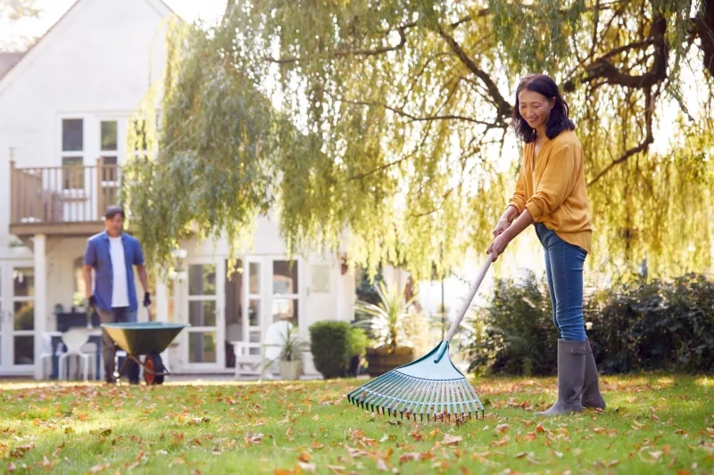 fall gardening