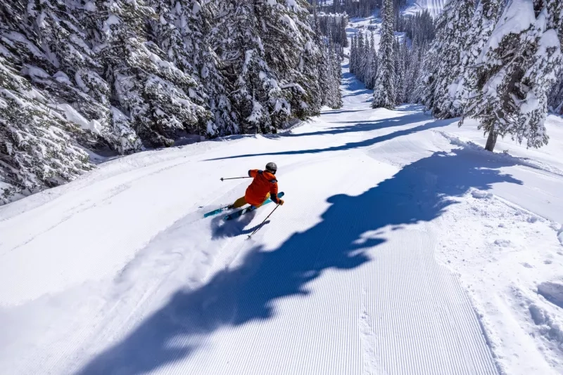 Powder skiing