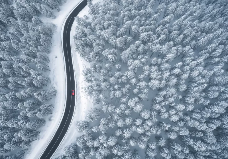 Driving In Snowcapped Forest