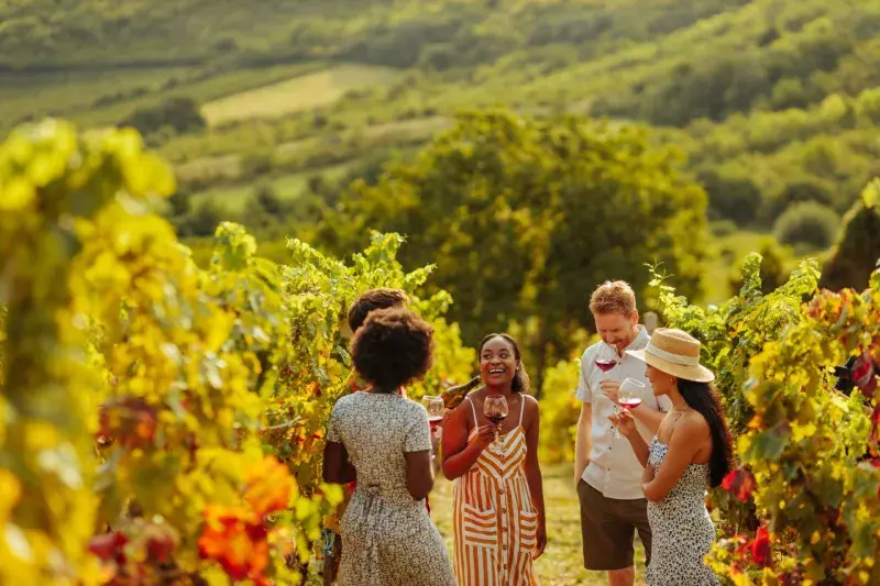 Wine tasting tour during sunny afternoon