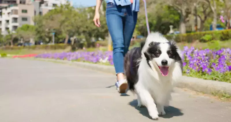 woman walking and touching dog