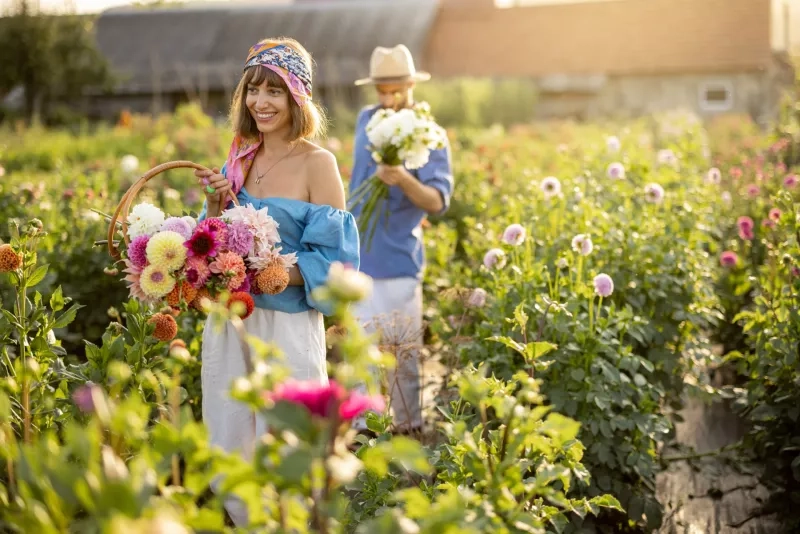 Man and woman pick up flowers at farm outdoors