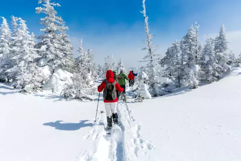 Snowshoeing in quebec