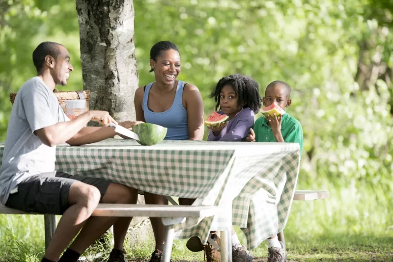 Eating Watermelon on a Picnic