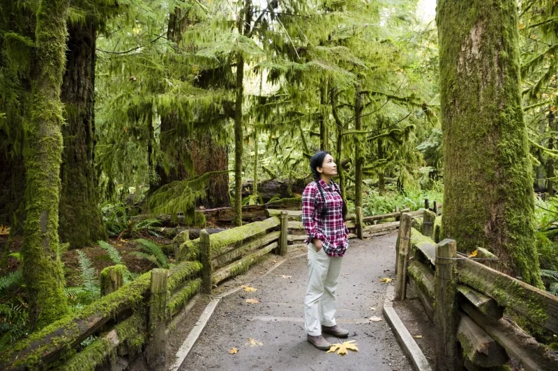 Cathedral Grove Vancouver Island