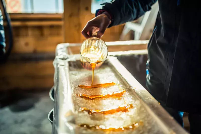 Person pouring maple syrup onto snow at sugar shack