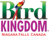 Bird Kingdom